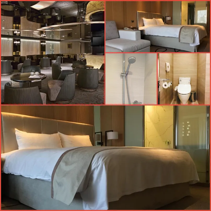 Chateau de Chine Hotel Kaohsiung 호텔 기타 이미지