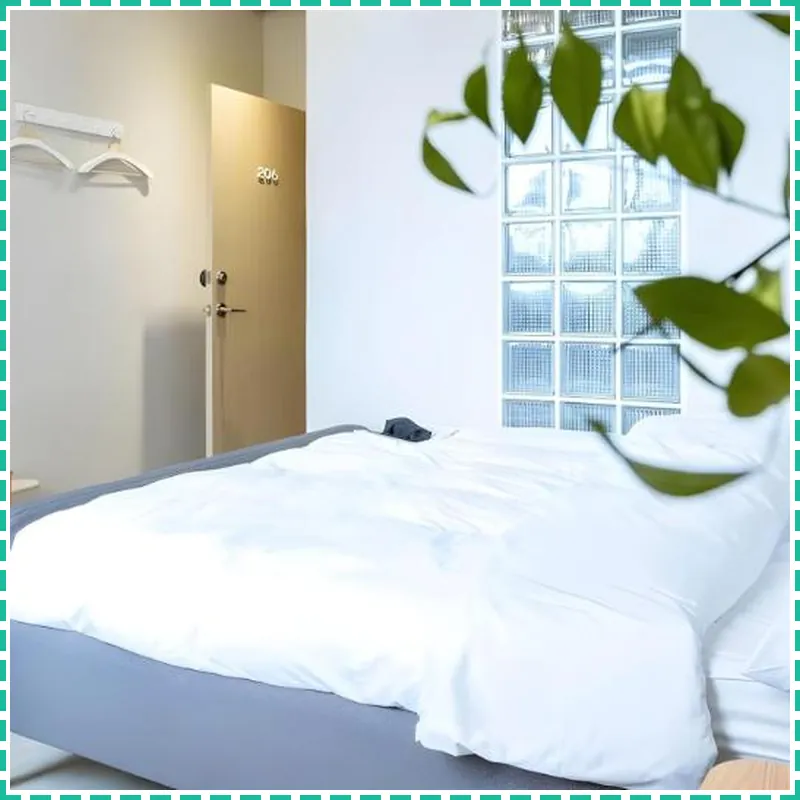 Hostel Tomato 호텔 내부 이미지