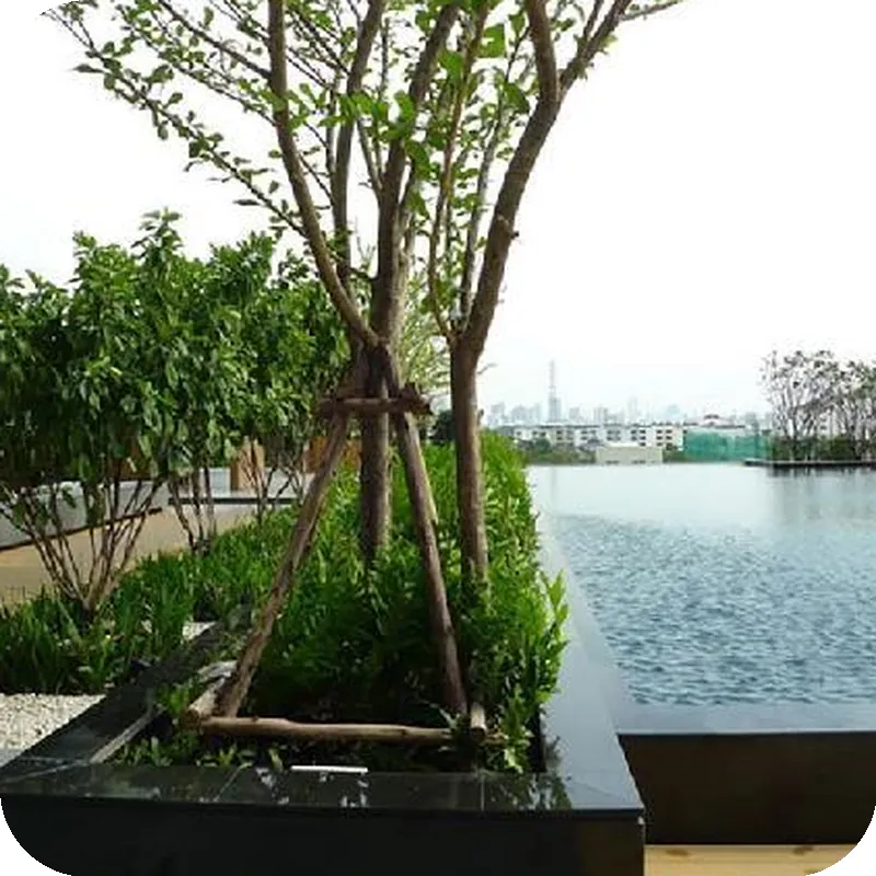 1 Bedroom near MRT & BTS Bangkok 호텔 시설 이미지