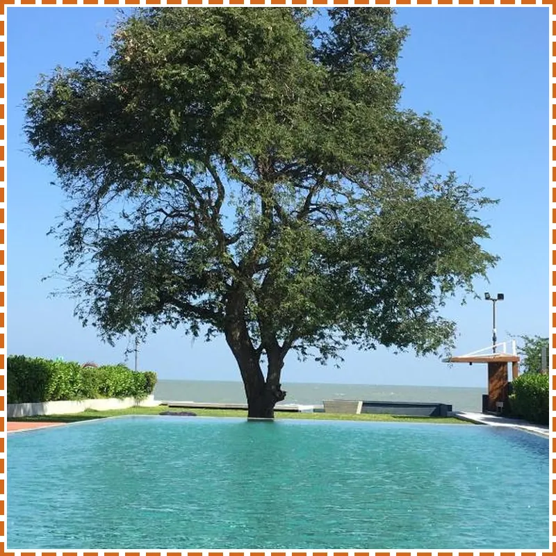 Baan Thew Talay Blue Sapphire, Beach Front Condo 호텔 이미지