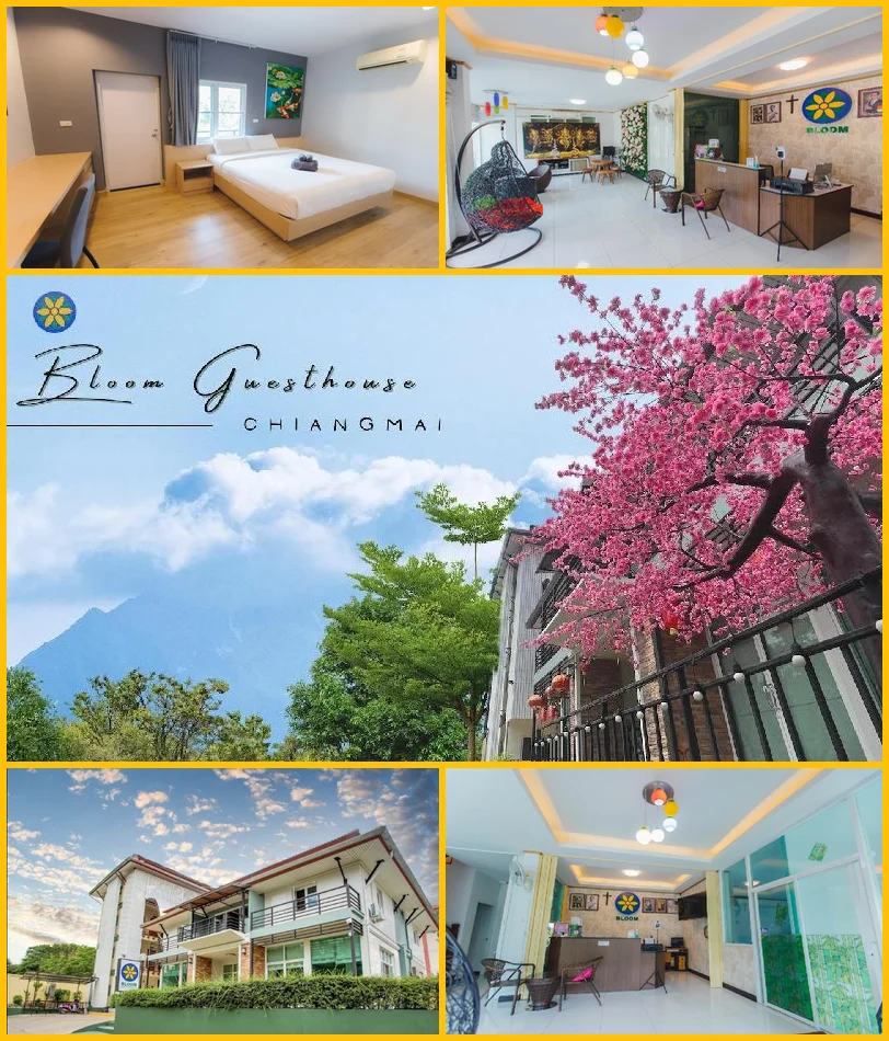 Bloom Guest House 메인 이미지