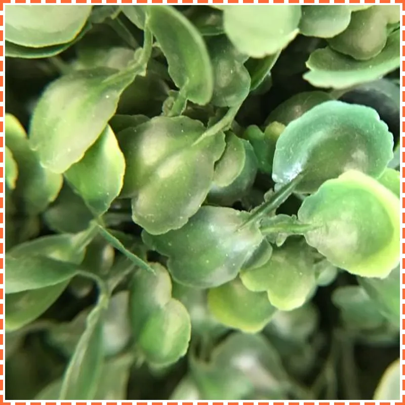 Stay in Style Doi Suthep View with Oasis @ DCondo 호텔 시설 이미지