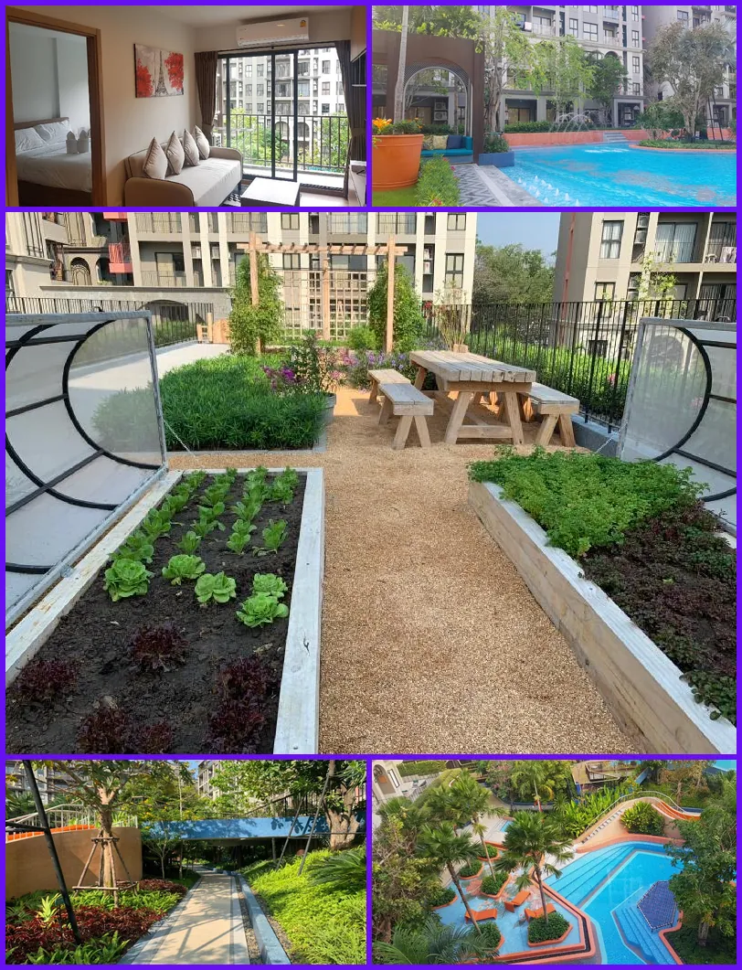 Huahin La habana pool view 호텔 기타 이미지