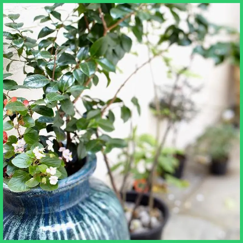 B+B Belgravia 호텔 이미지