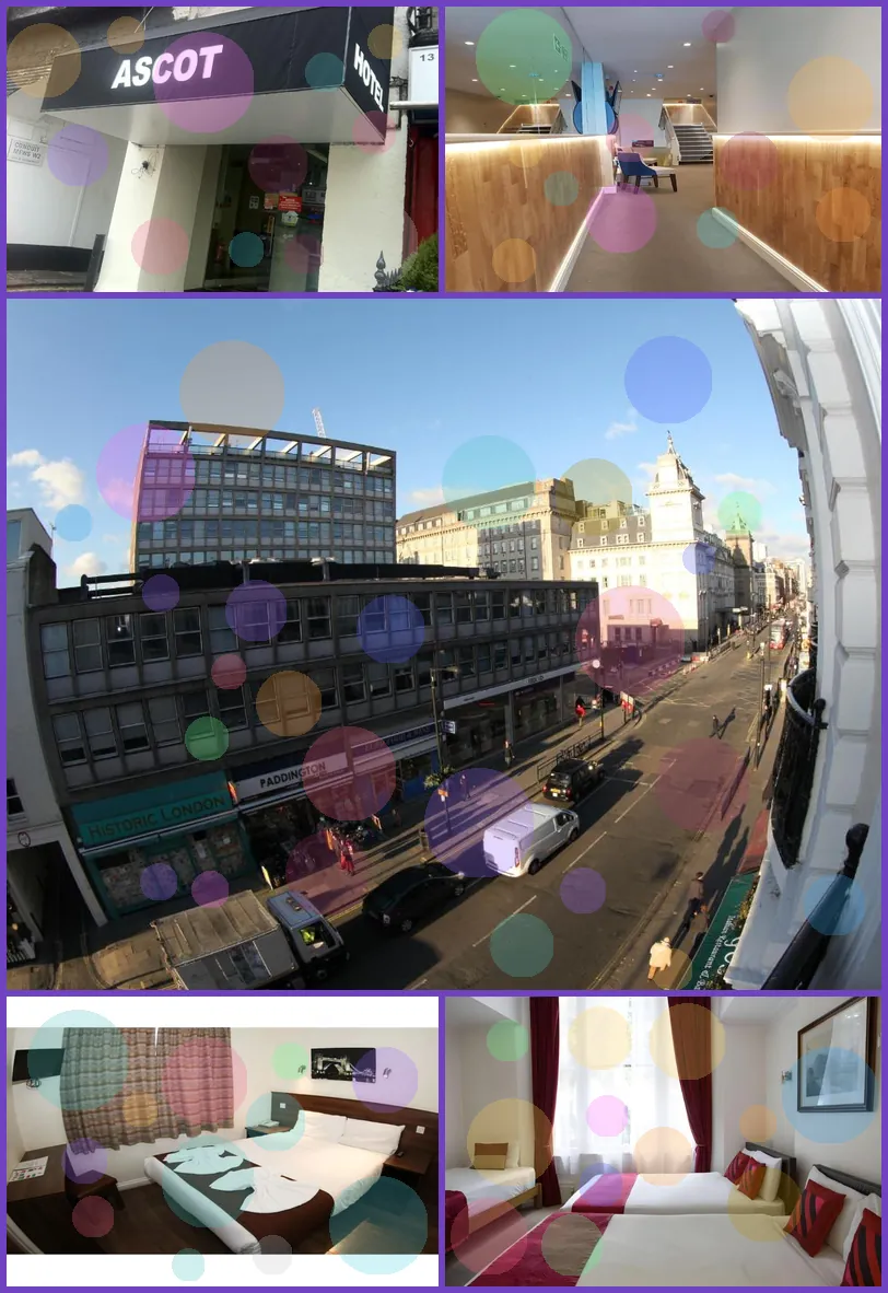 Ascot Hyde Park Hotel 호텔 기타 이미지