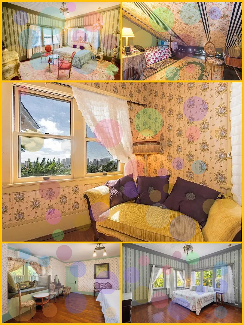 Manoa Valley Inn 호텔 기타 이미지