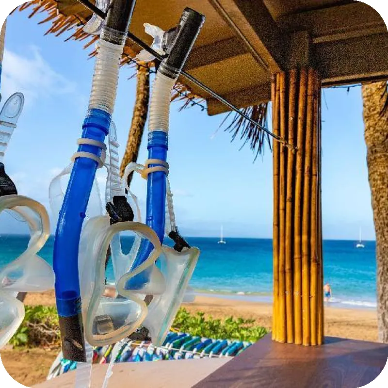 Aston Maui Kaanapali Villas 호텔 시설 이미지