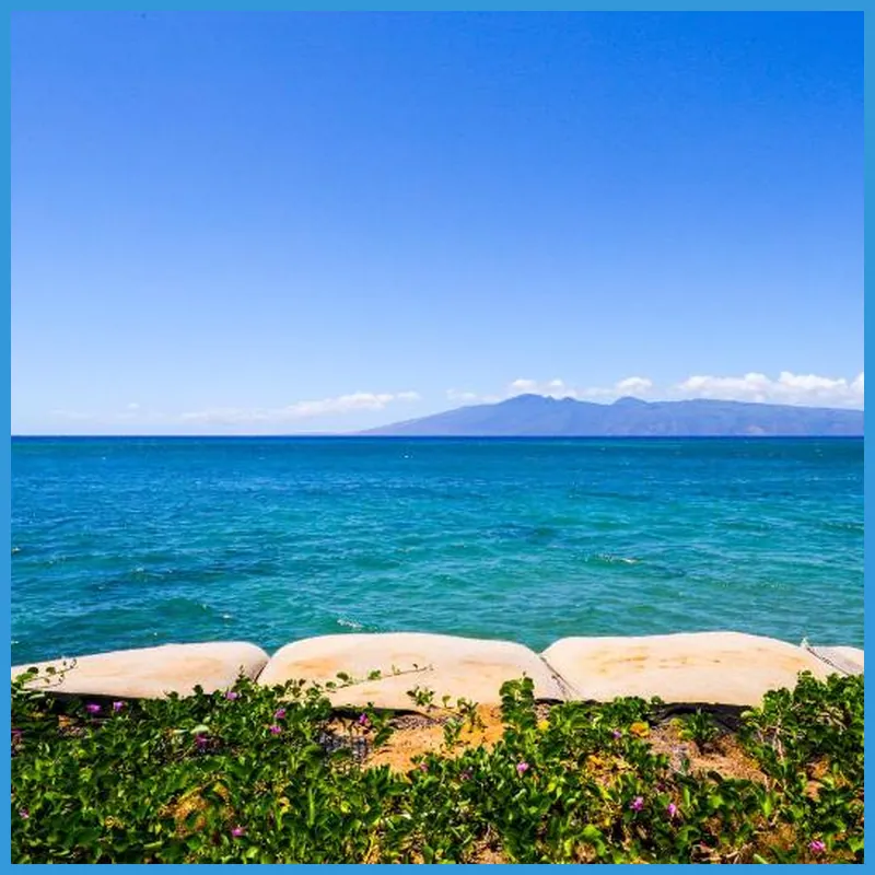 Hololani Resort 호텔 시설 이미지