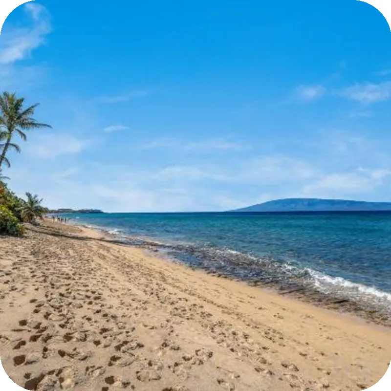 Breathtaking Ocean Views and Stylish Comfort - Exquisite Coastal Haven 호텔 시설 이미지