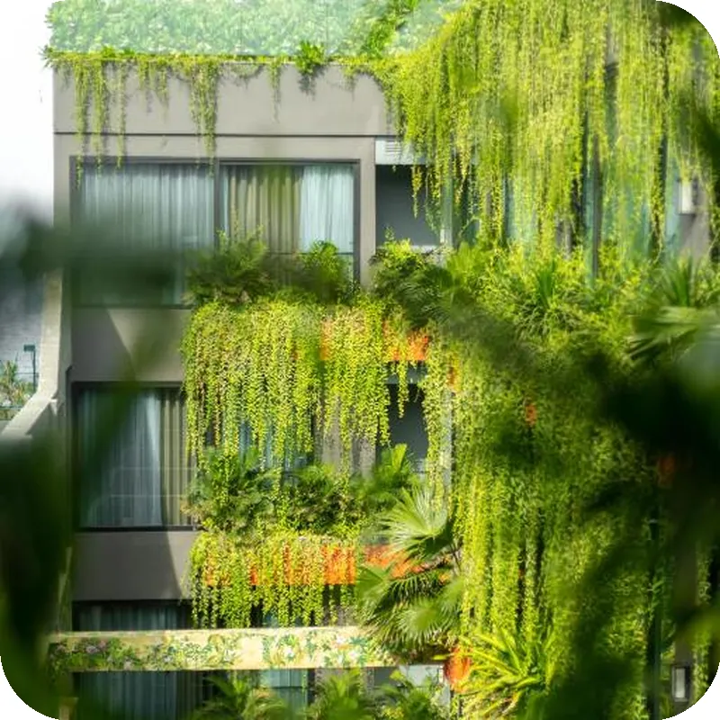 Chi House Da Nang Hotel and Apartment 호텔 시설 이미지