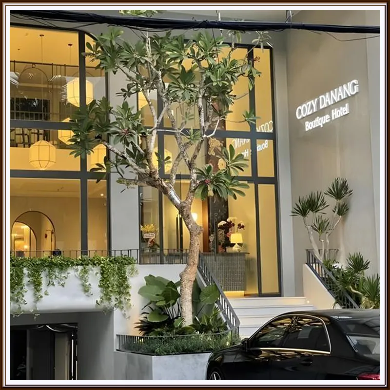 Cozy Danang Boutique Hotel 호텔 이미지