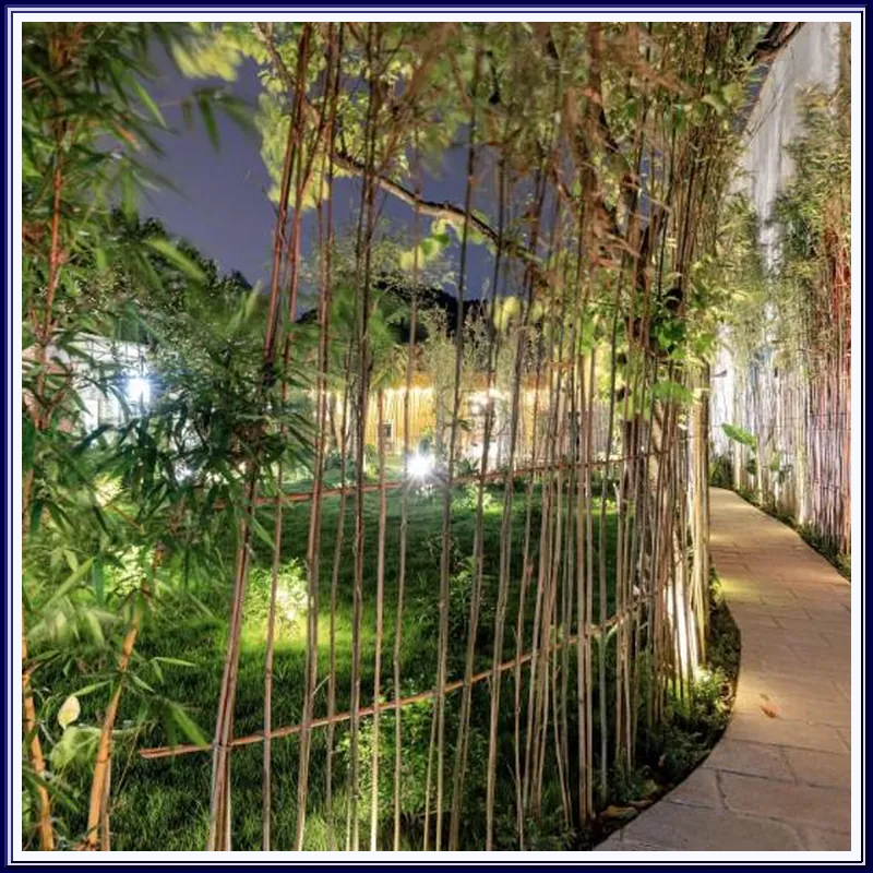 Scenic Mountain Ecolodge Ninh Binh 호텔 이미지