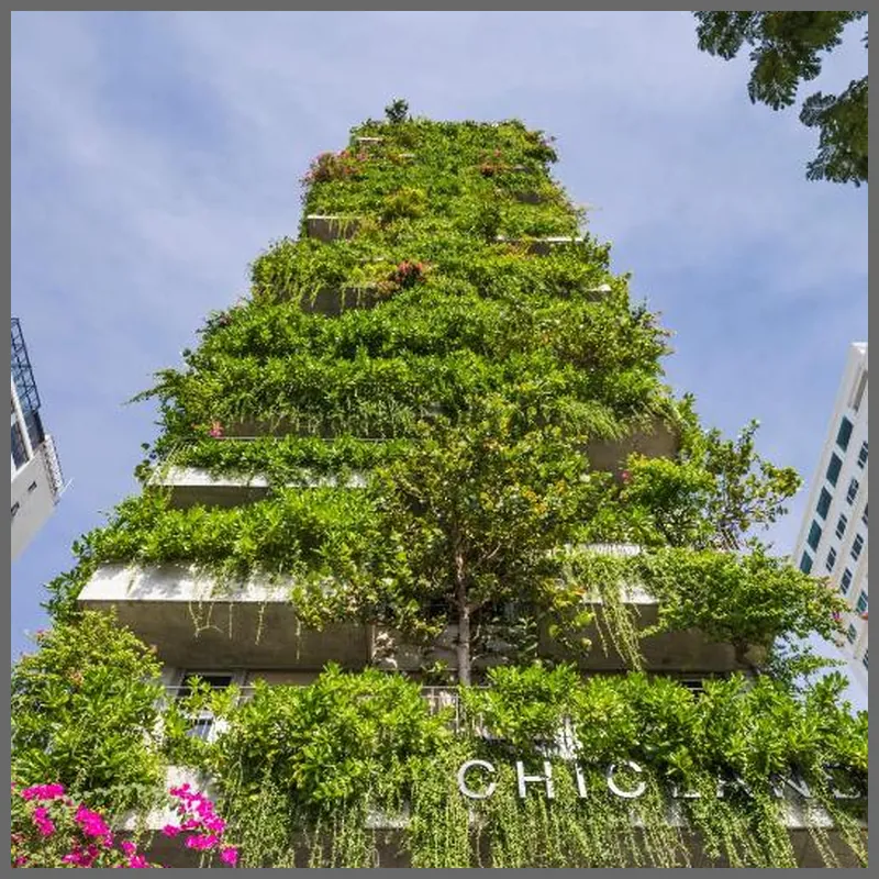 Chicland Danang Beach Hotel 호텔 이미지