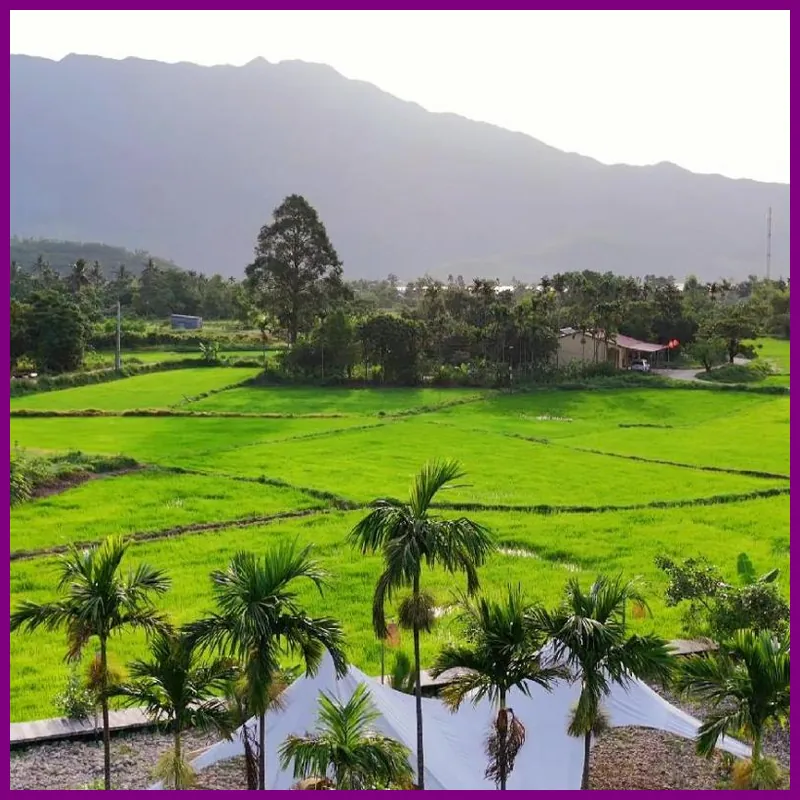 Suoi Đa Homestay 호텔 이미지
