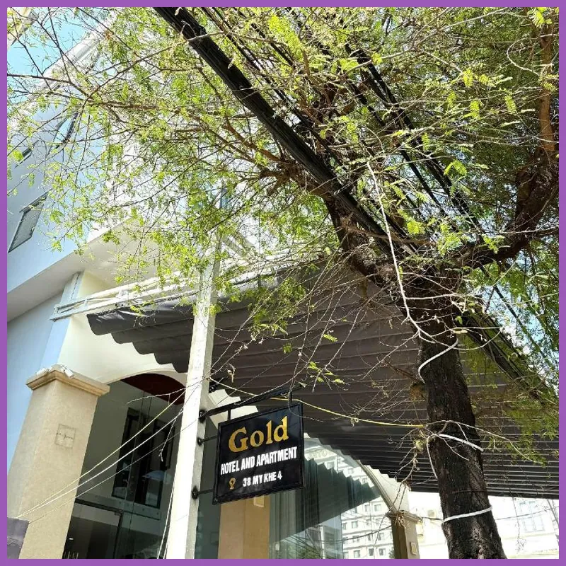 Gold Hotel & Apartment Da Nang 호텔 시설 이미지