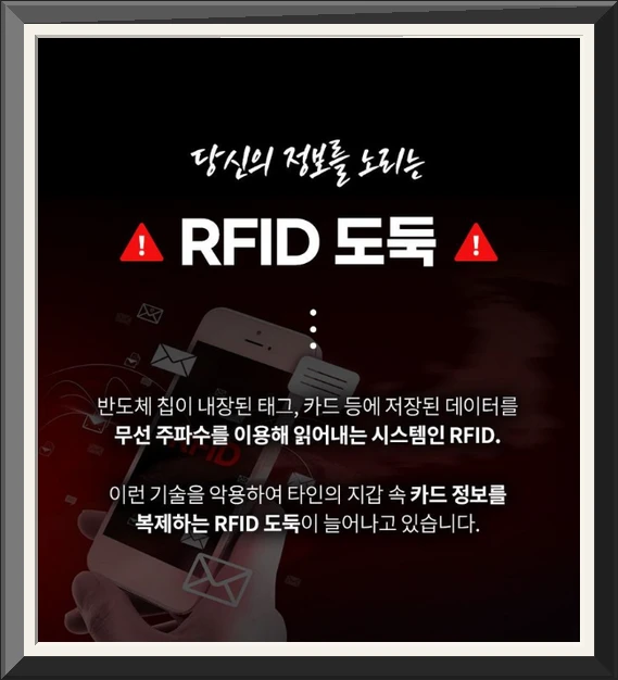 블리스 안티스키밍 해킹방지 여권 케이스 여권지갑 투명여권커버 사진2