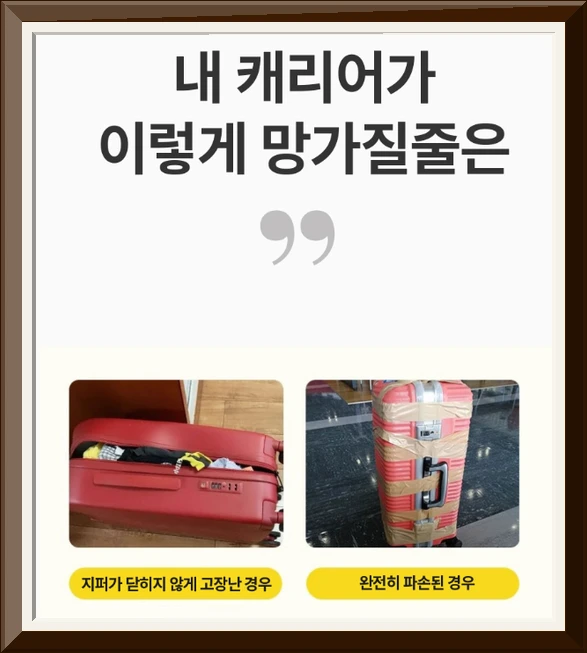 애니윙 TSA 캐리어 스트랩벨트 잠금장치 사진2