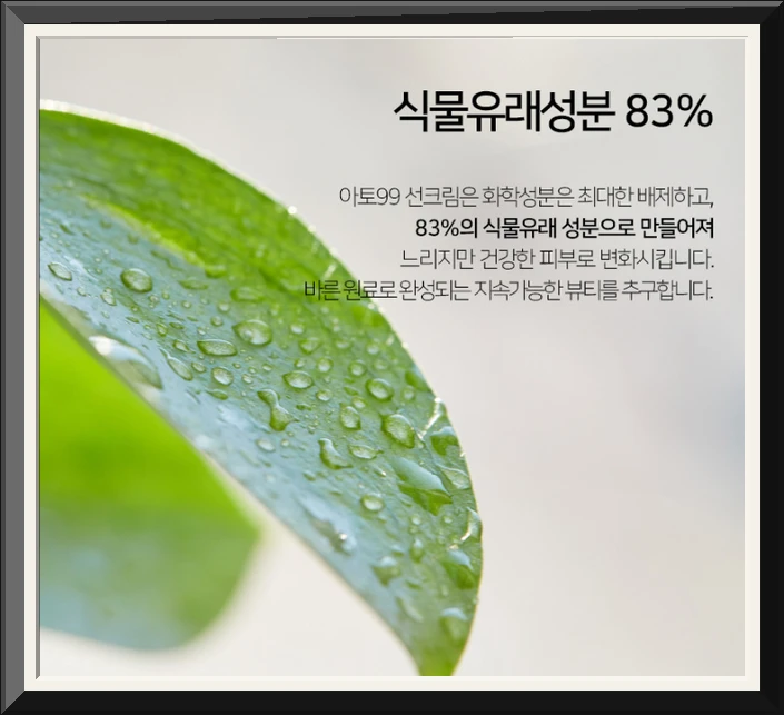 아토99 순한 무기자차 선크림 눈시림자극 백탁없는 톤업 썬크림 SPF50 50ml, 2개 사진4