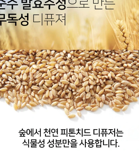 휴대용 편백 디퓨저 편백나무 디퓨져 피톤치드 매장 집향기 욕실 안 방 방향제 카페 옷장 사진4