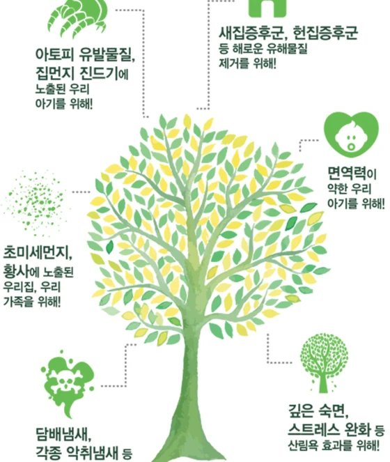 휴대용 편백 디퓨저 편백나무 디퓨져 피톤치드 매장 집향기 욕실 안 방 방향제 카페 옷장 사진5